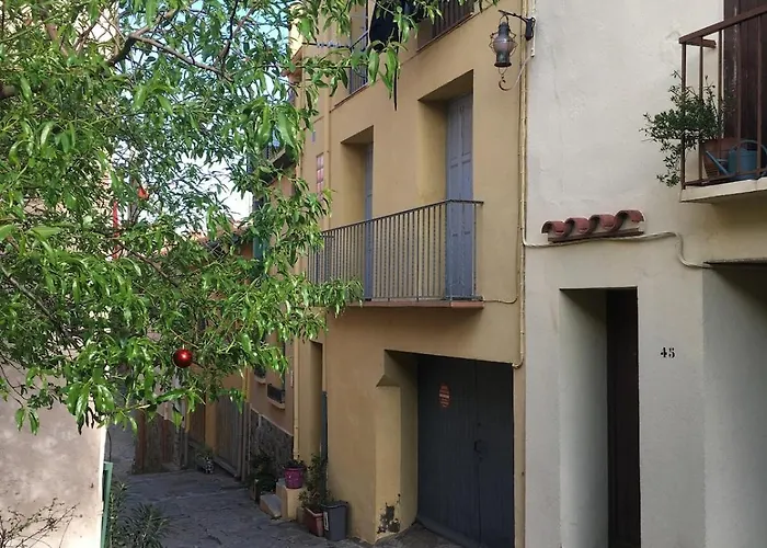 公寓 Centre Historique, 50 M Plage, Calme, Clim, Wifi 科利尤尔